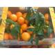 Naranjas de Mesa y mandarinas 15 kg