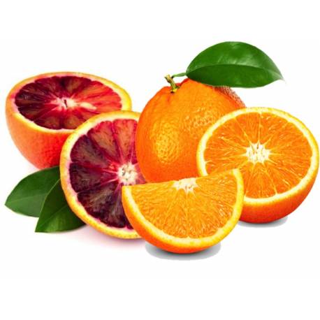 Naranjas de Mesa 5 Kg. y Sanguinas 5 Kg.