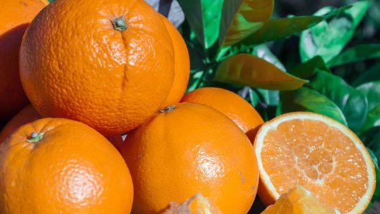 ¿Son buenas las naranjas para la diabetes?